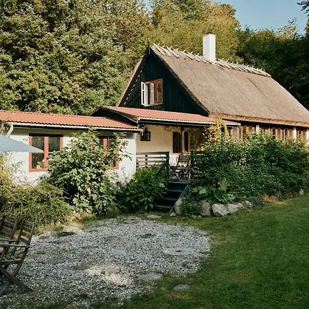 Peaceful Forest Idyll In Timber House For Families Jyderup