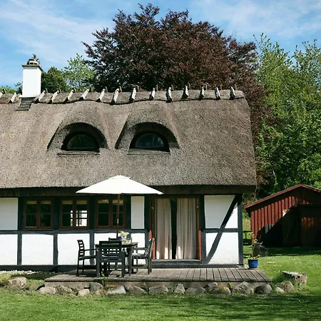 Peaceful Forest Idyll In Timber House For Families Casa vacanze Jyderup